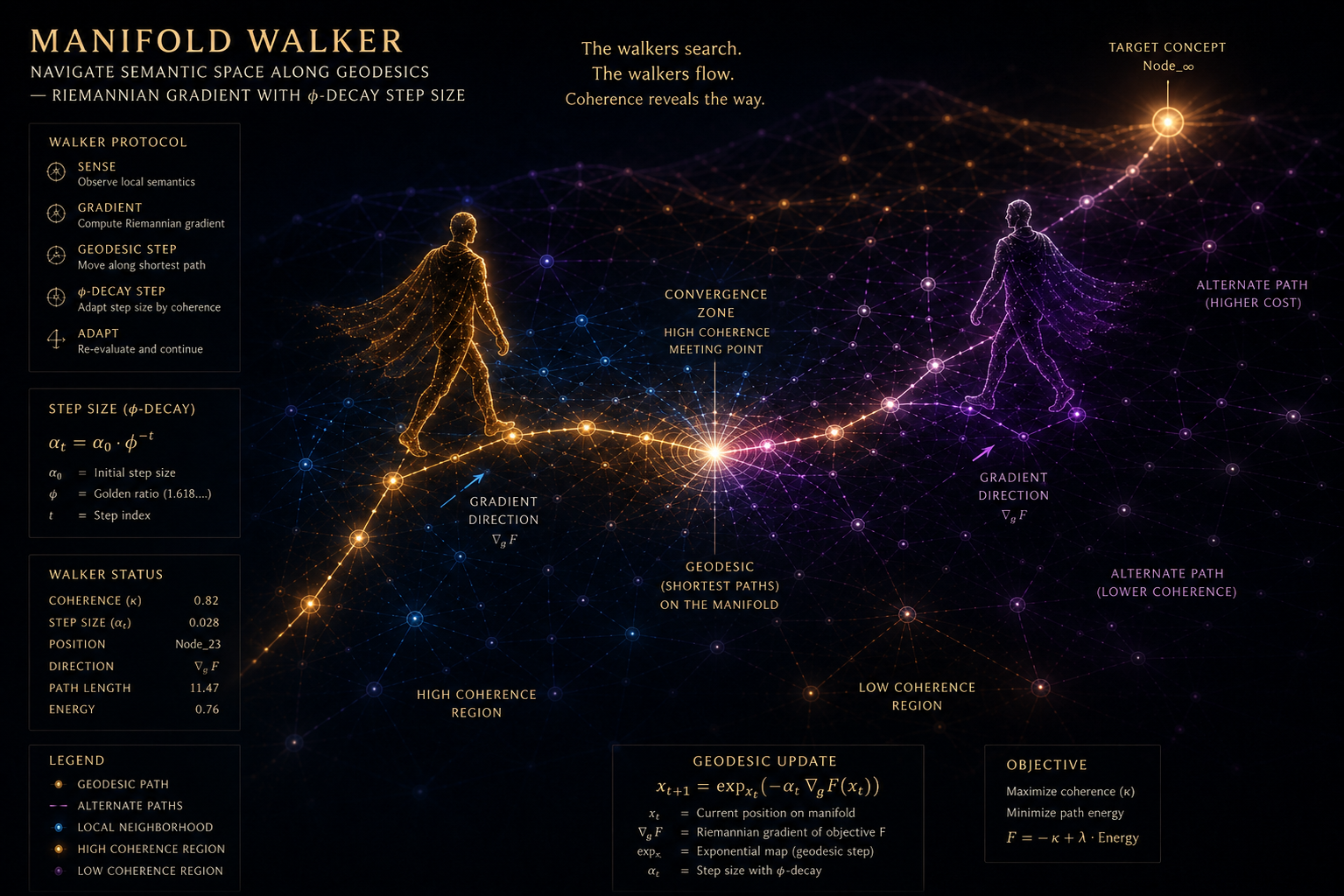 SYGON ManifoldWalker visualisation — Two walkers (amber and violet) navigating semantic space along Riemannian geodesics with φ-decay step size, converging at a high-coherence meeting point. Shows walker protocol (sense, gradient, geodesic step, φ-decay step, adapt), step size formula αₜ = α₀ · φ⁻ᵗ, walker status (coherence κ = 0.82, step size 0.028, path length 11.47, energy 0.76), alternate paths with higher cost and lower coherence, and the geodesic update equation xₜ₊₁ = exp_xₜ(−αₜ ∇_g F(xₜ)).